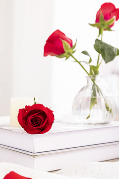 情人节红玫瑰清新白色背景