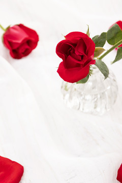 情人节红玫瑰素材背景