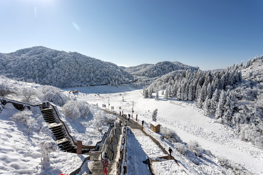 金佛山雪景