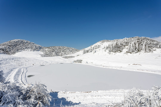 金佛山雪景