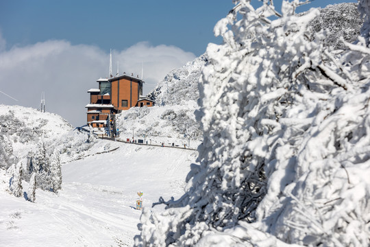 金佛山雪景