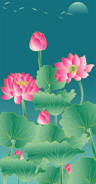 荷花插畫