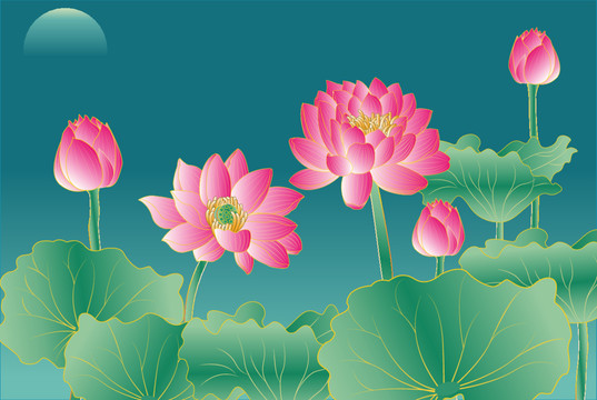 荷花插畫