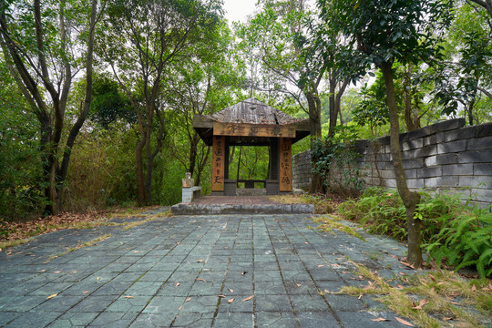 山林环境树木观雨亭