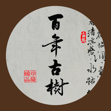 云南普洱百年古樹
