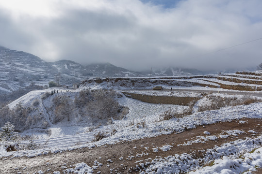 高山道路雪自然风光