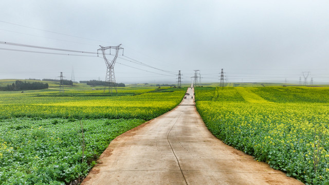 罗平旅游