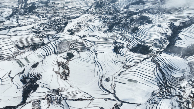 梯地雪景