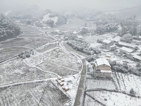 乡村雪景