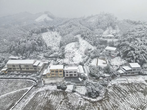 农村雪景