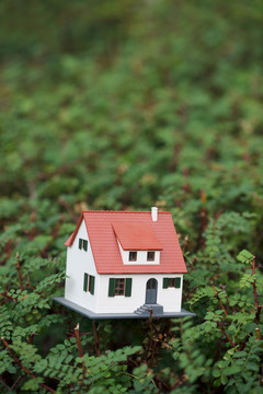 房屋模型在植物上