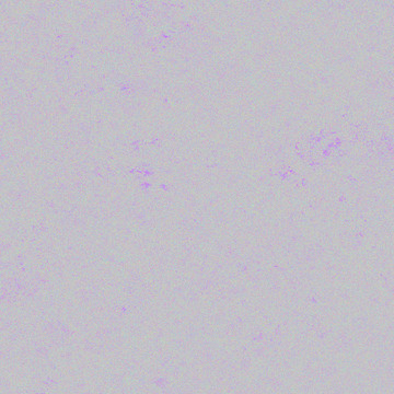 現(xiàn)代簡約裝飾畫