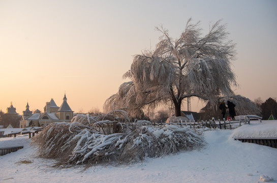 冰雕雪景