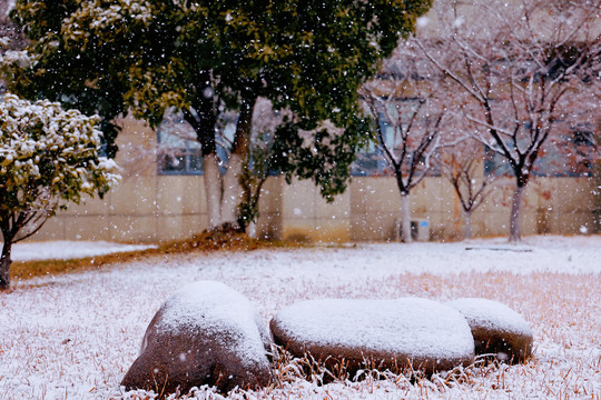 下雪石头