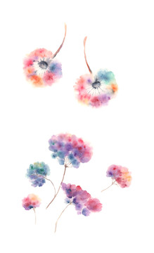手繪蒲公英