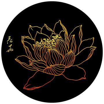 金線荷花