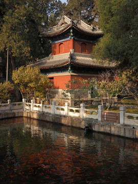 北京植物园卧佛寺秋色