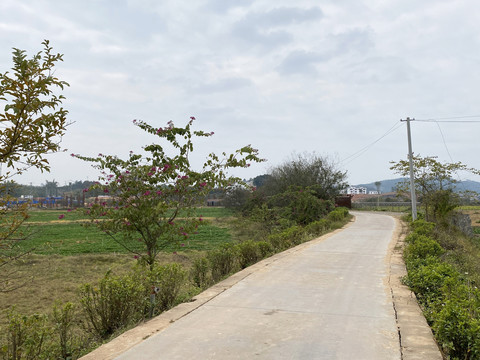 山间小路