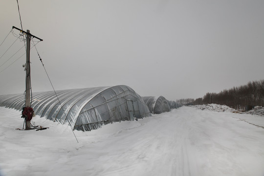 雪地大棚