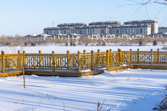 城市雪景