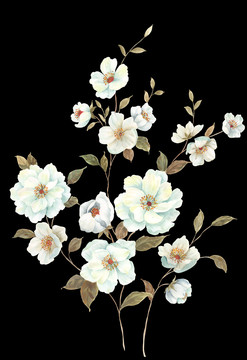 手繪小花