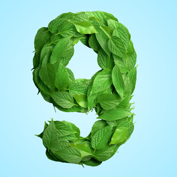環(huán)保綠葉數(shù)字