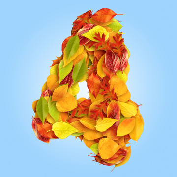 秋葉季節(jié)數(shù)字