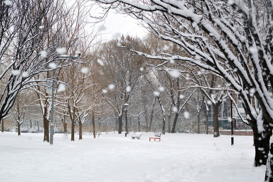 下雪