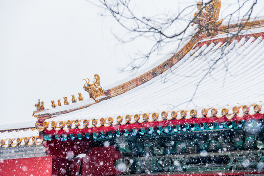 故宫古建筑屋顶雪景