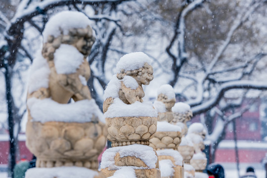 雪中故宫