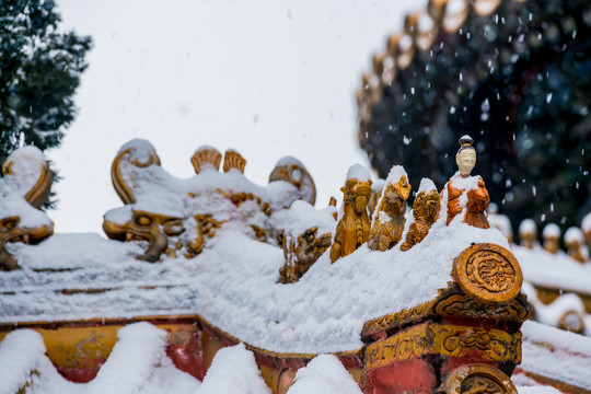 故宫御花园雪景