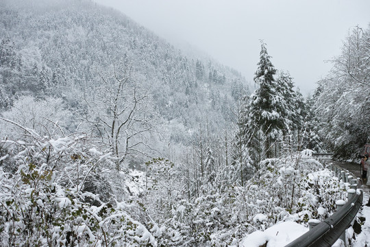 山里雪景