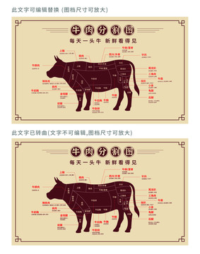 牛肉分割图