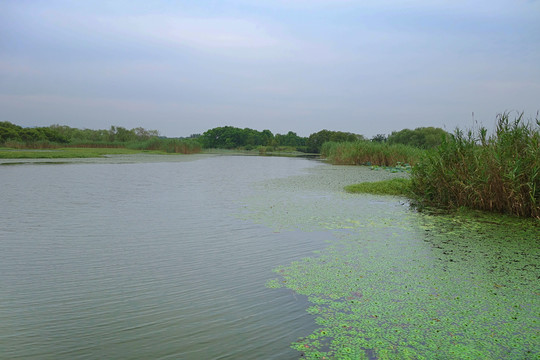 湖州仙山湖