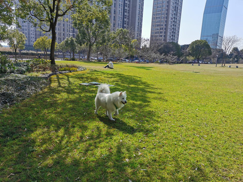 城市绿地