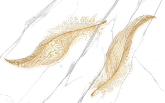 金色羽毛背景墙