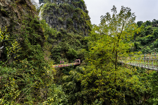 广西桂林阳朔天籁蝴蝶泉景区