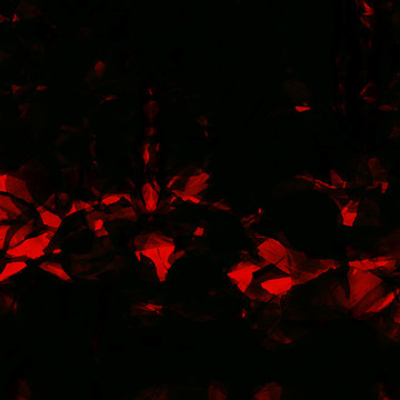 印花圖案