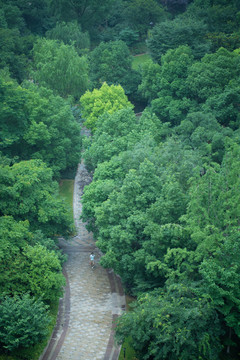 林间小路