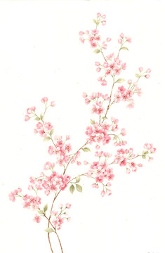 手繪小花