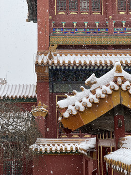 故宫雪景