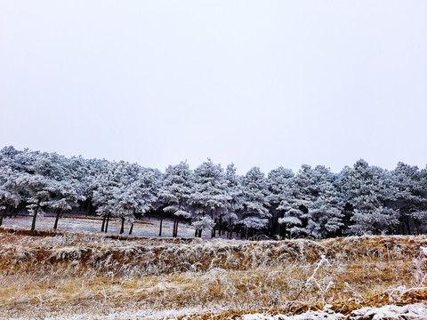 雪景