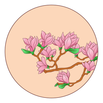 玉蘭花線稿上色