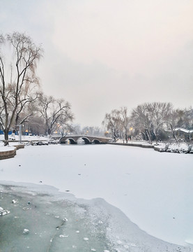 雪景