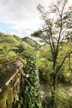 虎山长城