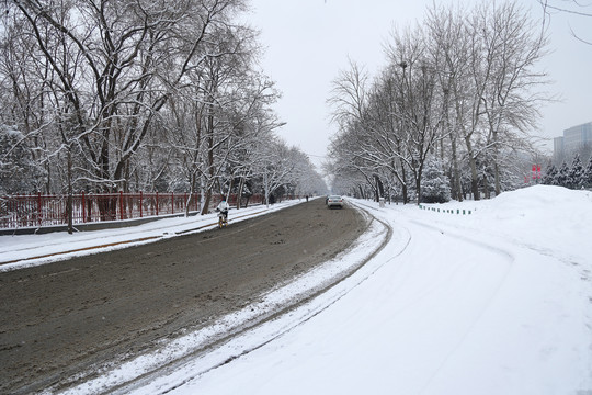 雪后景色