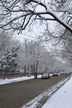 雪后景色