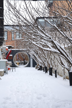 雪后街景