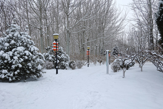 雪后景色