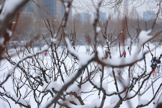 雪后风光